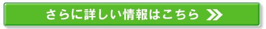 3,100~ÒE(Vh/)̃NjbNƂ͔̔TCg